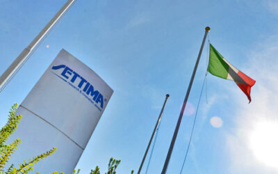 The History Of Settima Pumps